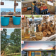 Illustration for article titled Discovery Land “Comport Stations” Set A Whole New Standard for On-Course Snack Shacks.
